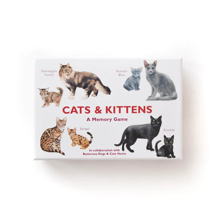Cats &amp; Kittens: A Memory Game