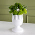 White vase with green flowers against a green wall.