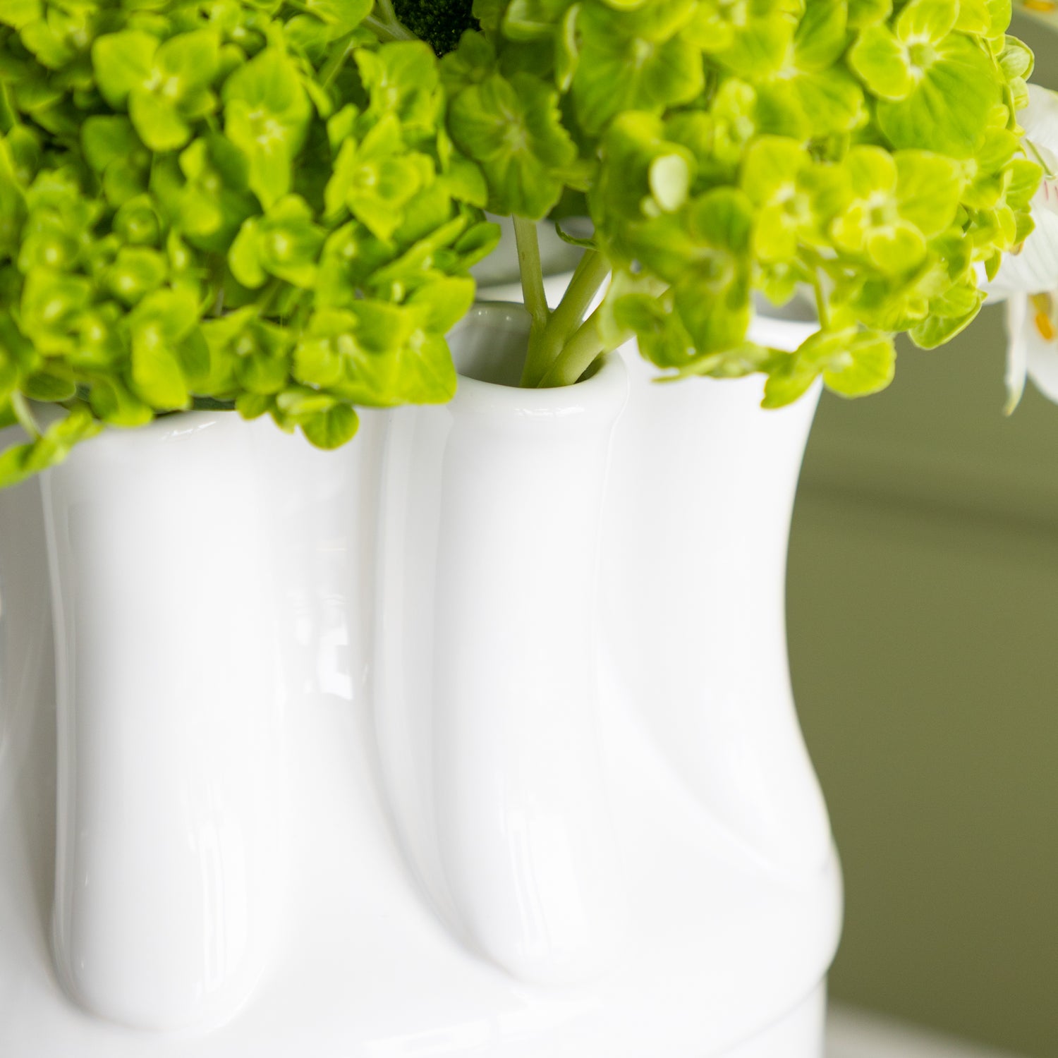 Green plant in a white vase against a neutral background.