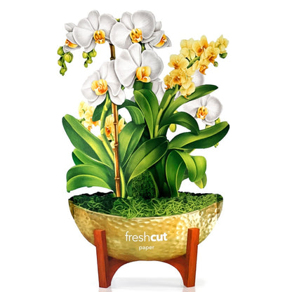 A potted arrangement of artificial orchids with a wooden stand against a white background, accompanied by a Fresh Cut Paper Mini Pop Up Flower Bouquet.