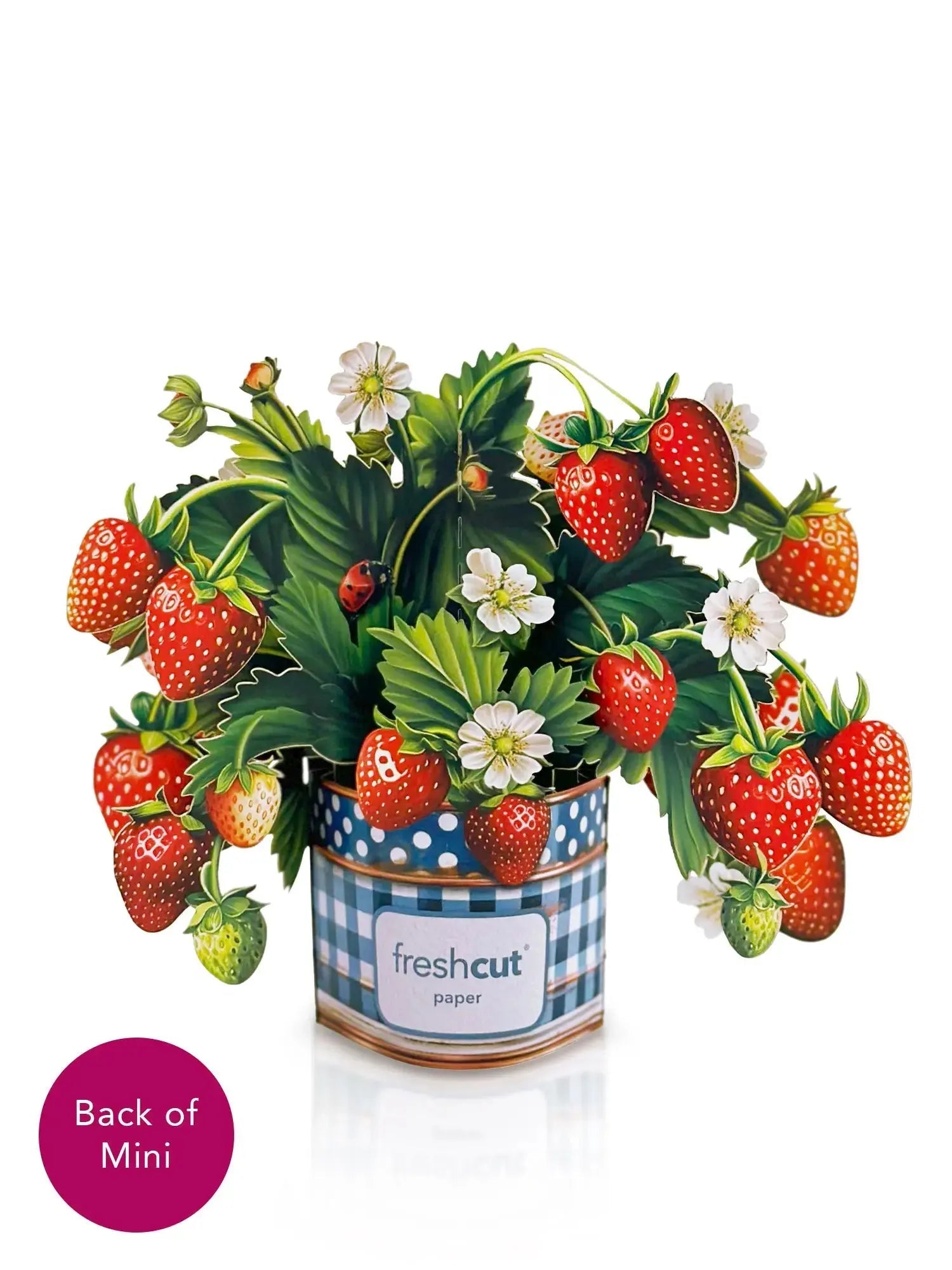 Framed paper with strawberry design and &