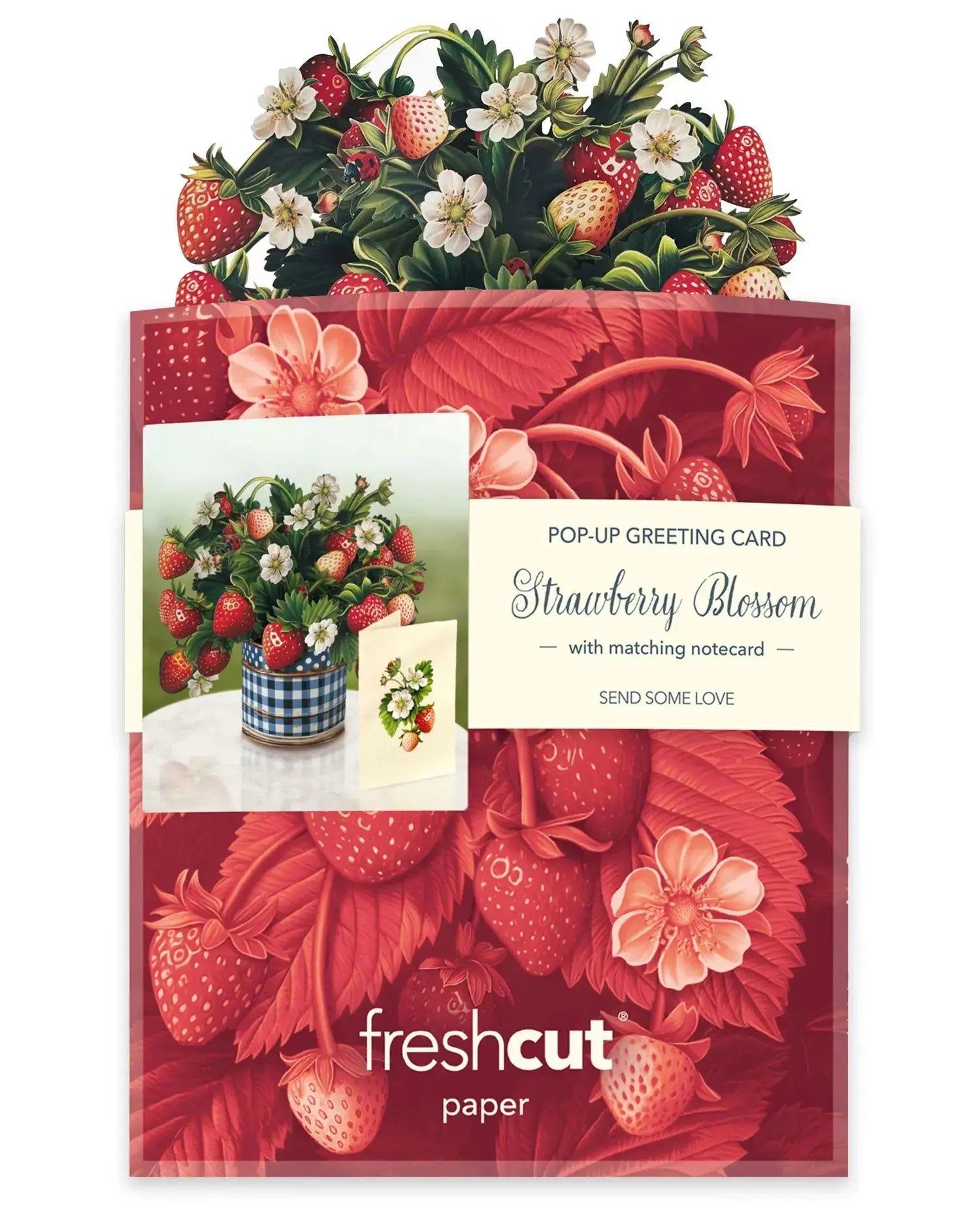 Pop-up greeting card with strawberry design and matching notecard by freshcut paper