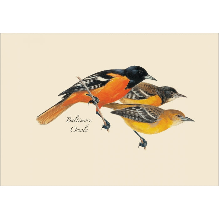 Greeting card with an illustration of three Baltimore Orioles on it. 