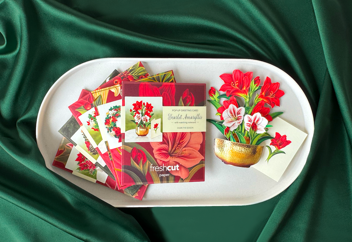 All 4 Holiday Box Collection Cards fanned out in a tray