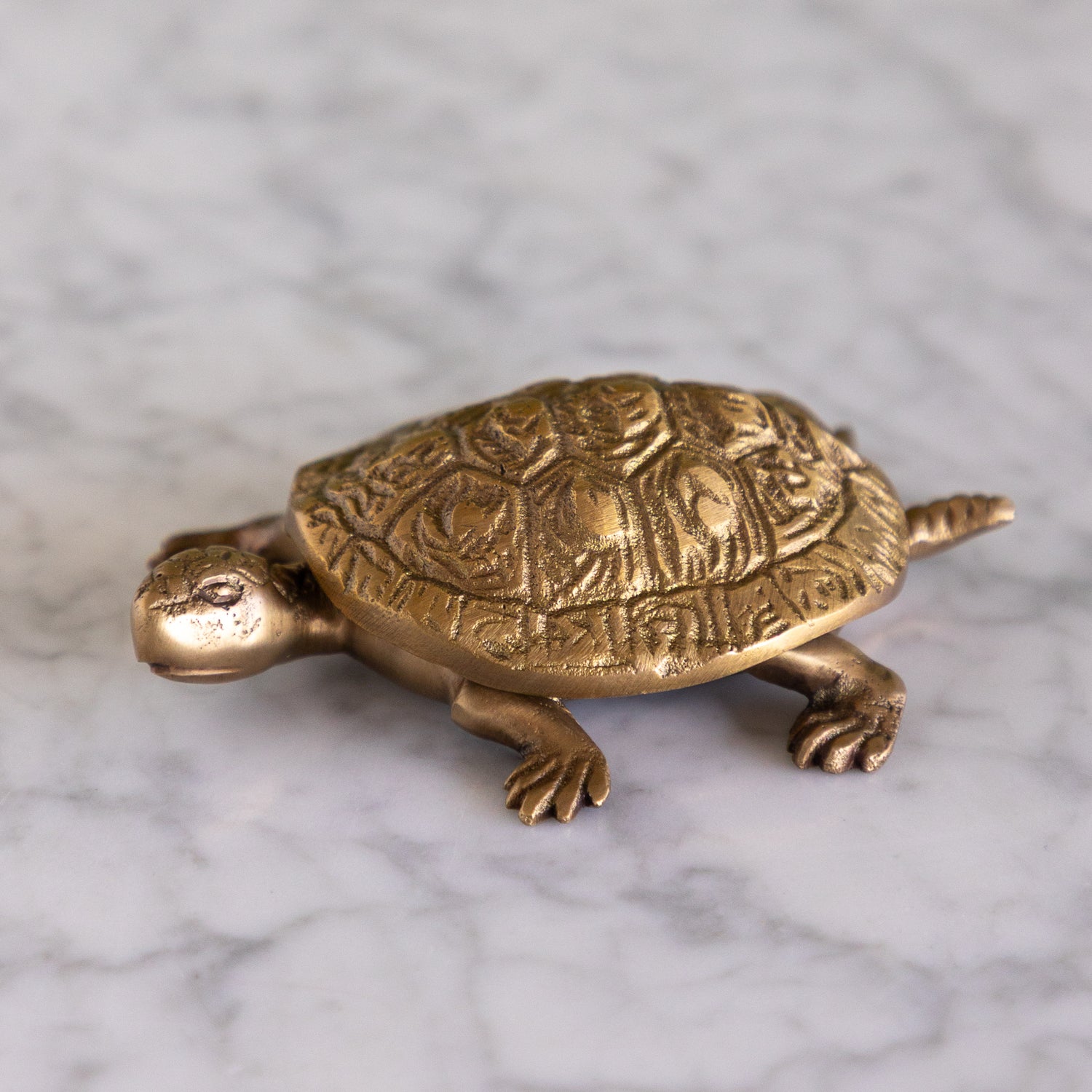 A small brass turtle figurine with detailed engravings on its shell, resting on a white marble surface.