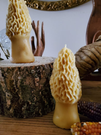 Morel Mushroom candle close up