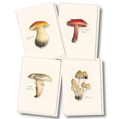 Mushroom Assortment Boxed Set of Cards