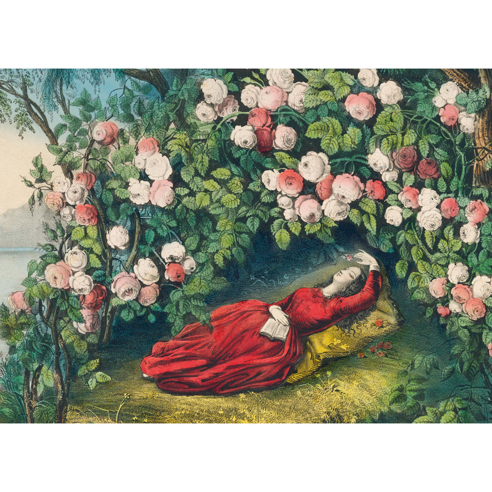 John Derian: The Bower of Roses 1,000 Piece Puzzle