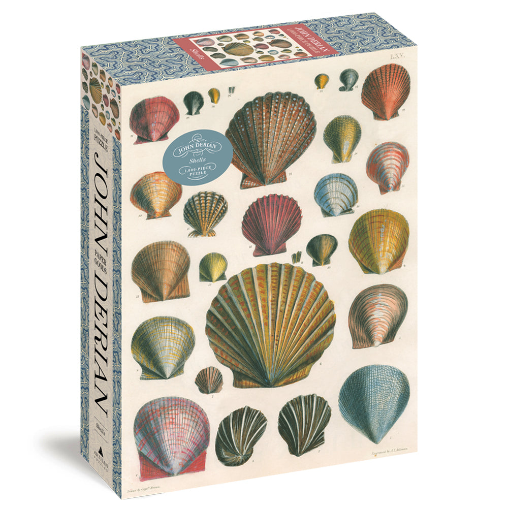 John Derian: Shells 1,000 Piece Puzzle