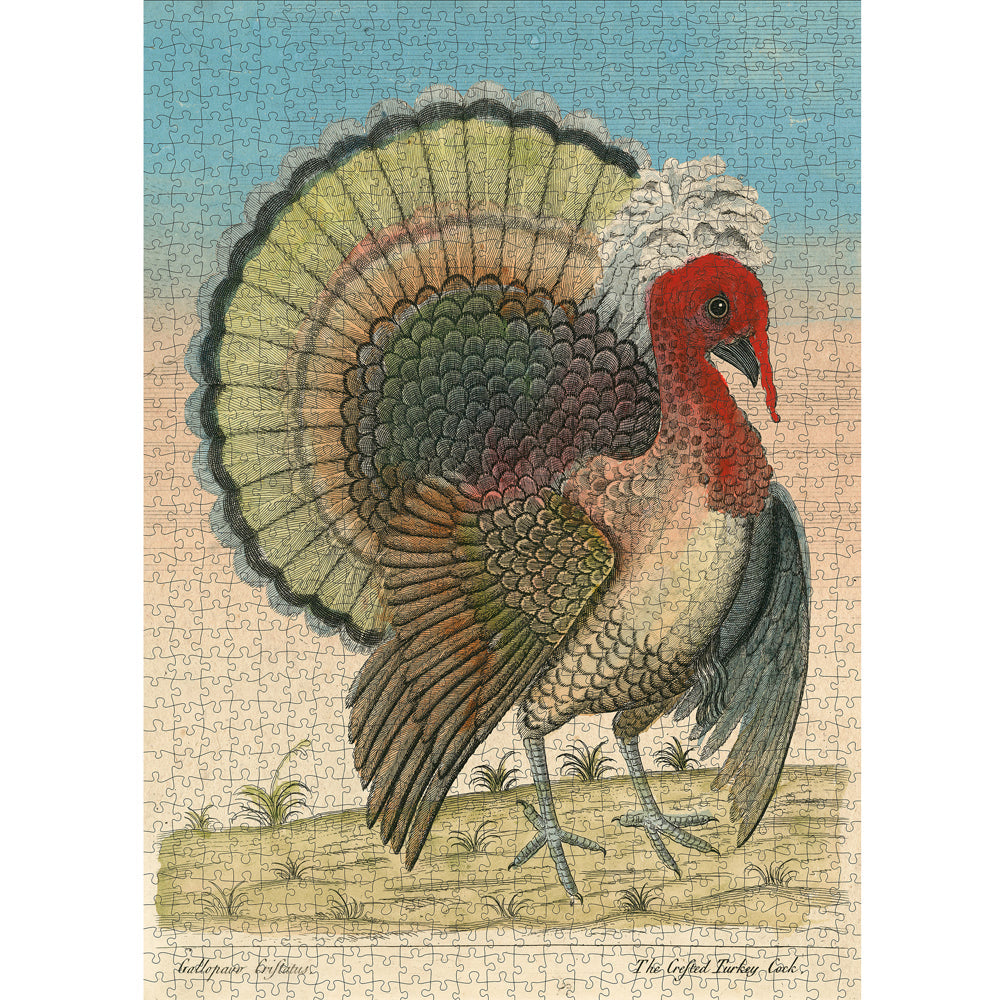 John Derian: Crested Turkey 1,000 Piece Puzzle