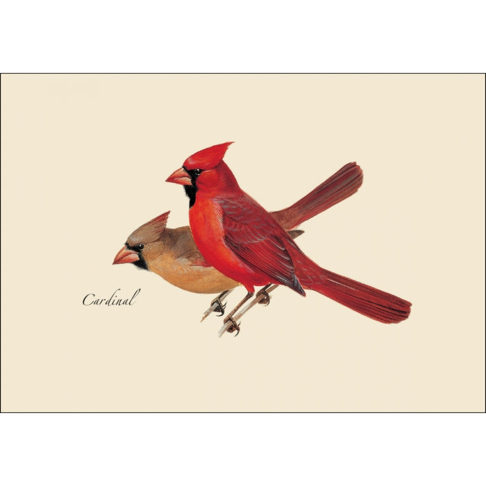 Greeting card with an illustration of two cardinals on it.  