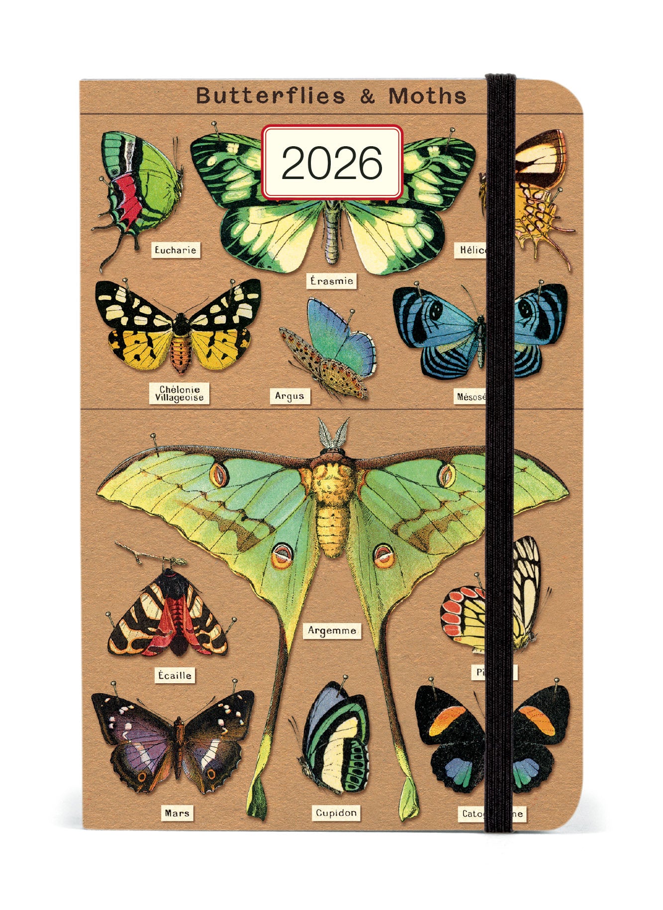 Cavallini 2026 Entomology (Butterflies &amp; Moths) planner. 