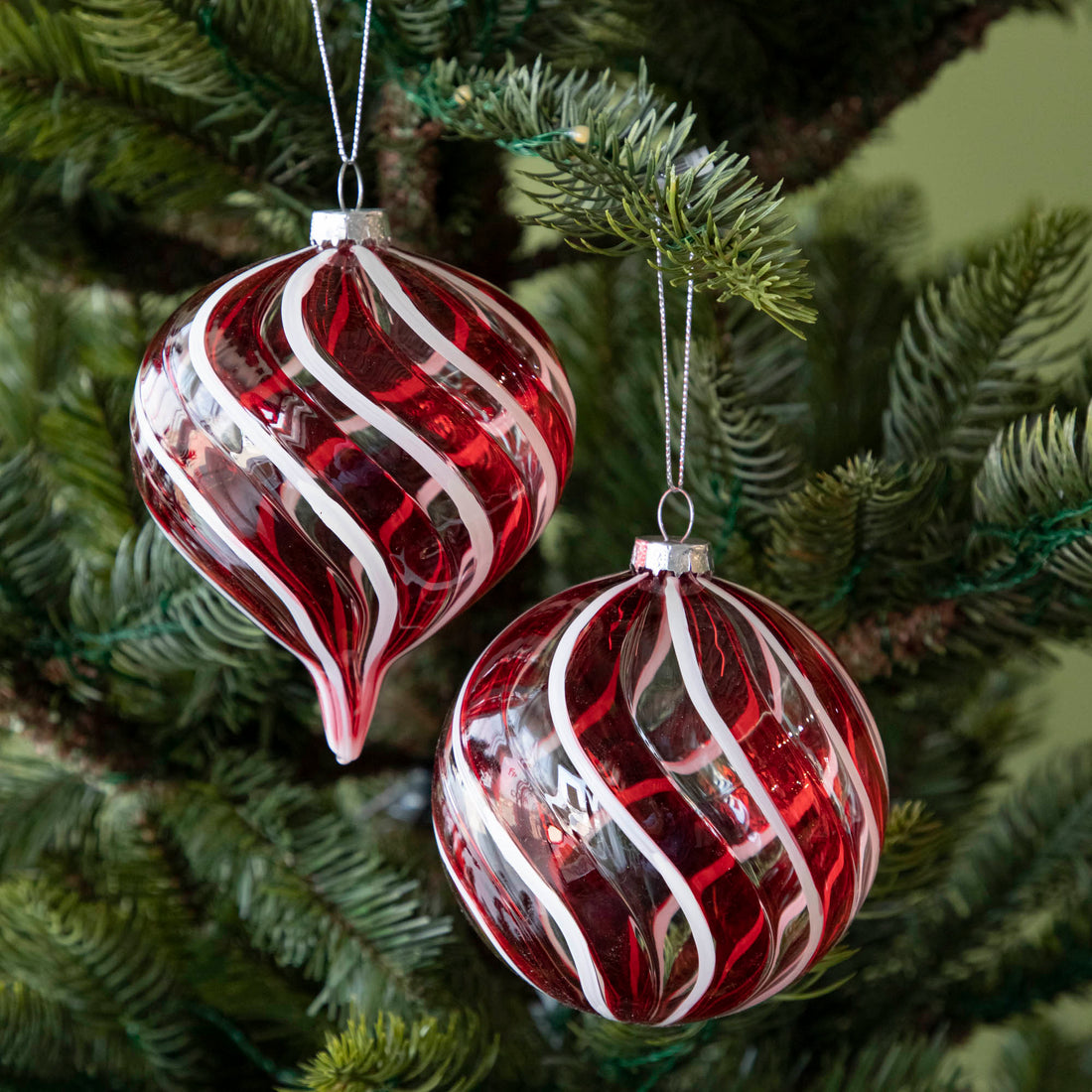 Two round and long Peppermint Stripe Ornaments hanging on a tree by silver strings.