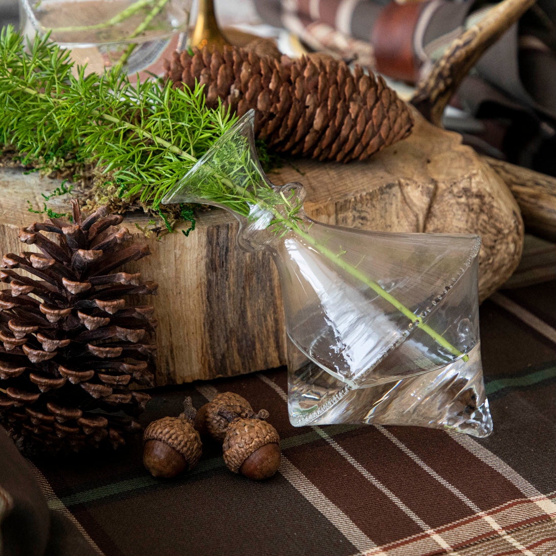 A Mouth Blown Clear Vase - Exclusively at Hester &amp; Cook, adorned with a small bouquet of pine cones.