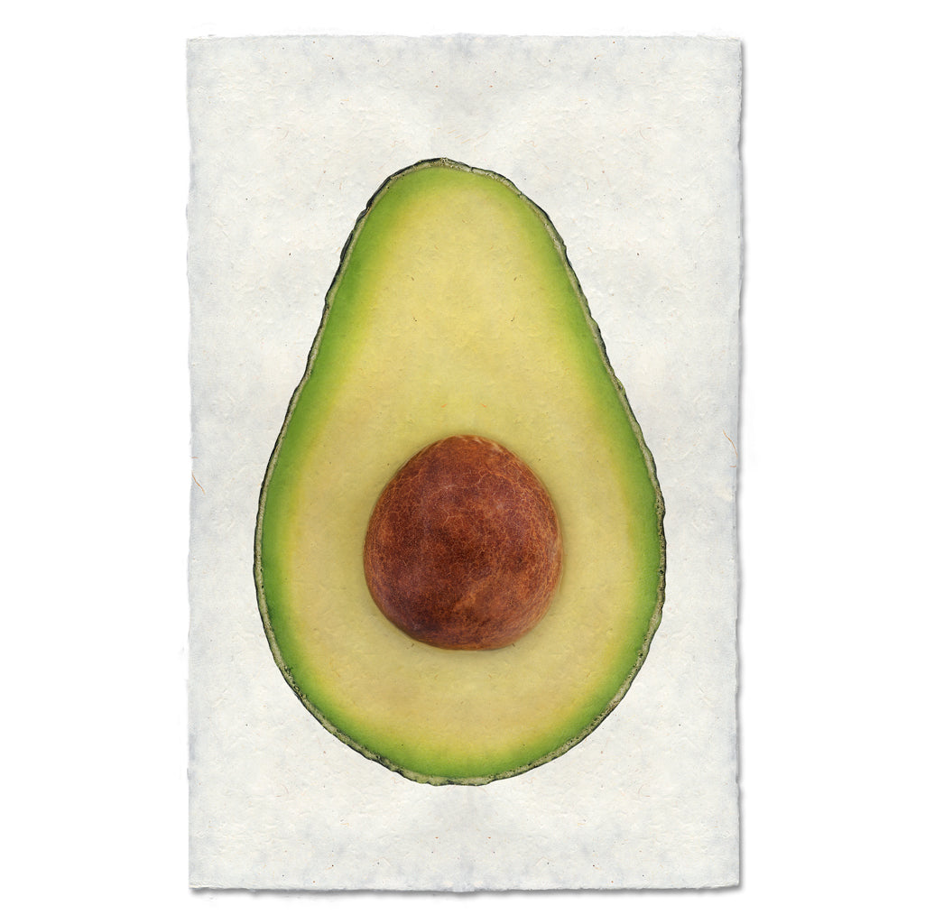 Avocado Art Print