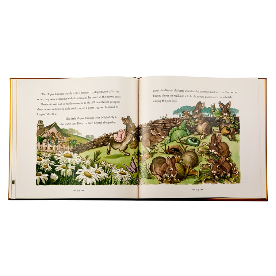The Classic Tale of Peter Rabbit Leather Book