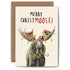 An illustration of a moose with a festive wreath around its neck, a candy cane sticking out its mouth, and Christmas lights and presents adorning its antlers, along with the words "Merry ChristMOOSE!".