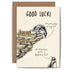 A Flightless Bird card featuring two penguins on a cliff, offering good luck. (Brand: Hester & Cook)