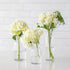 Three Bottleneck Bud Vases from Accent Decor with white flowers in them.