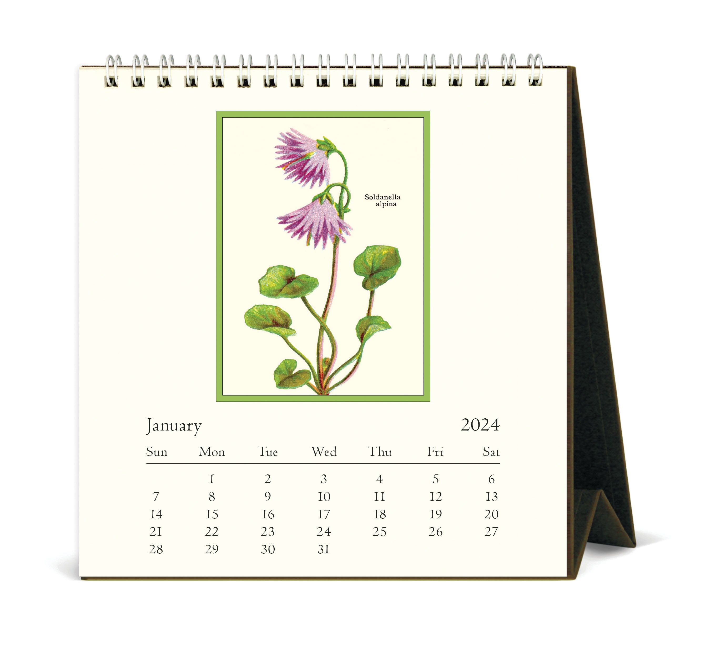 Wildflowers Desk Calendar