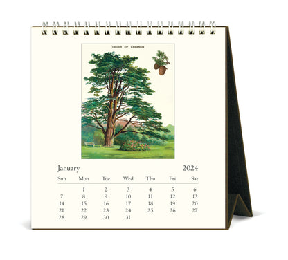 Arboretum Desk Calendar