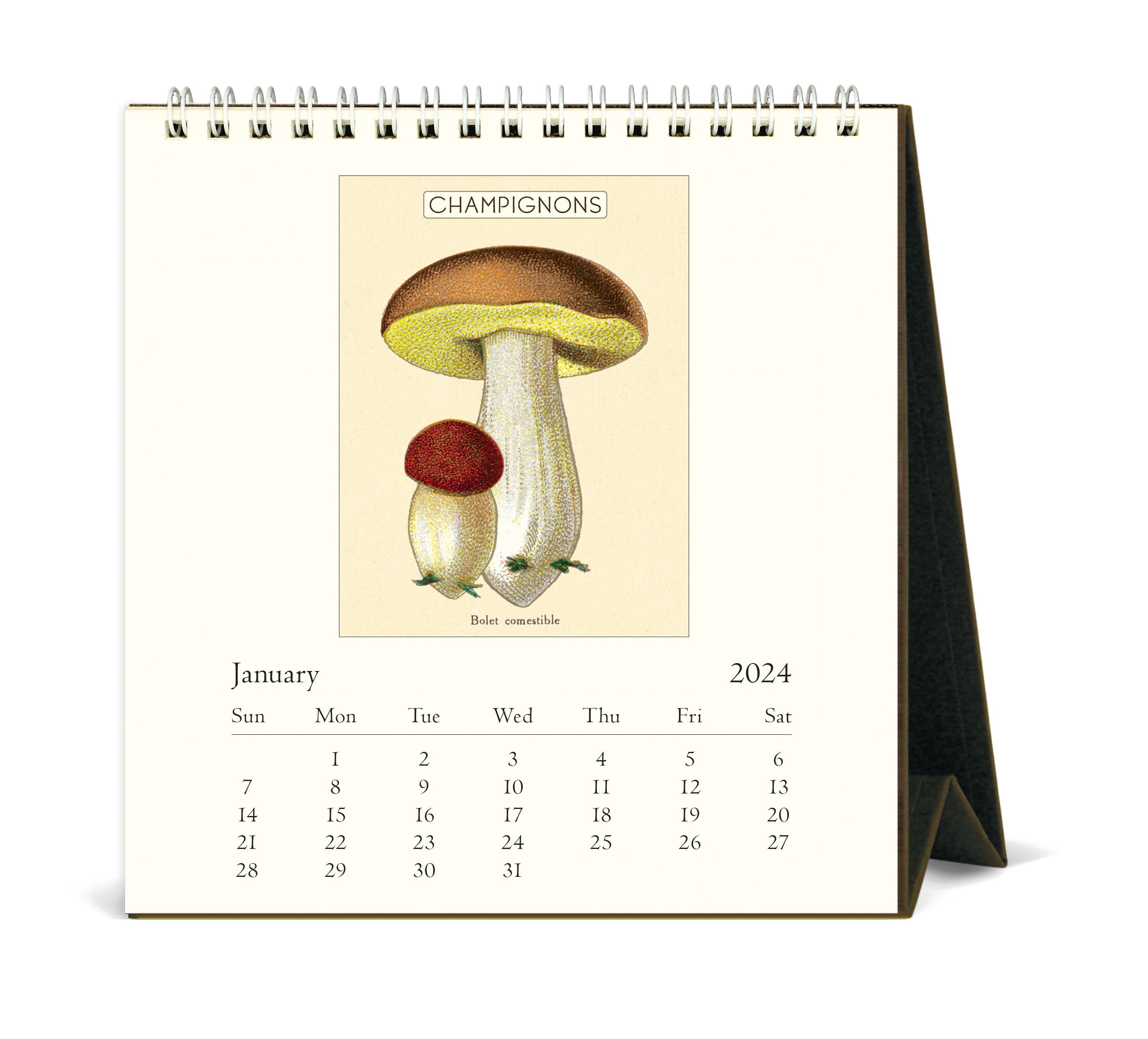 Mushrooms Desk Calendar