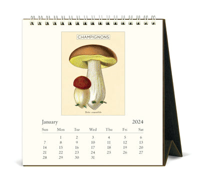 Mushrooms Desk Calendar