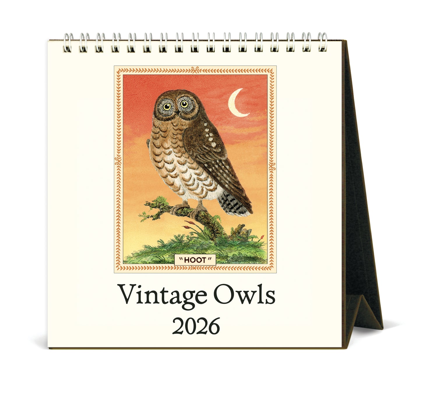 2026 Owls Desk Calendar Hester & Cook