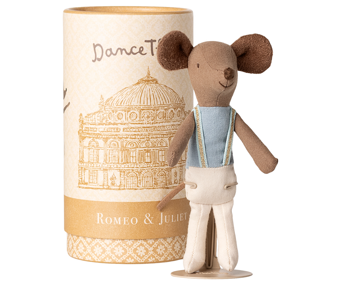 Small mouse figurine in a decorative box with architectural design and text.