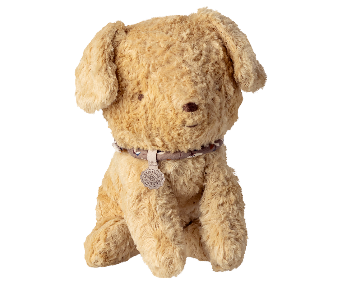 Beige plush puppy with a collar on a white background.