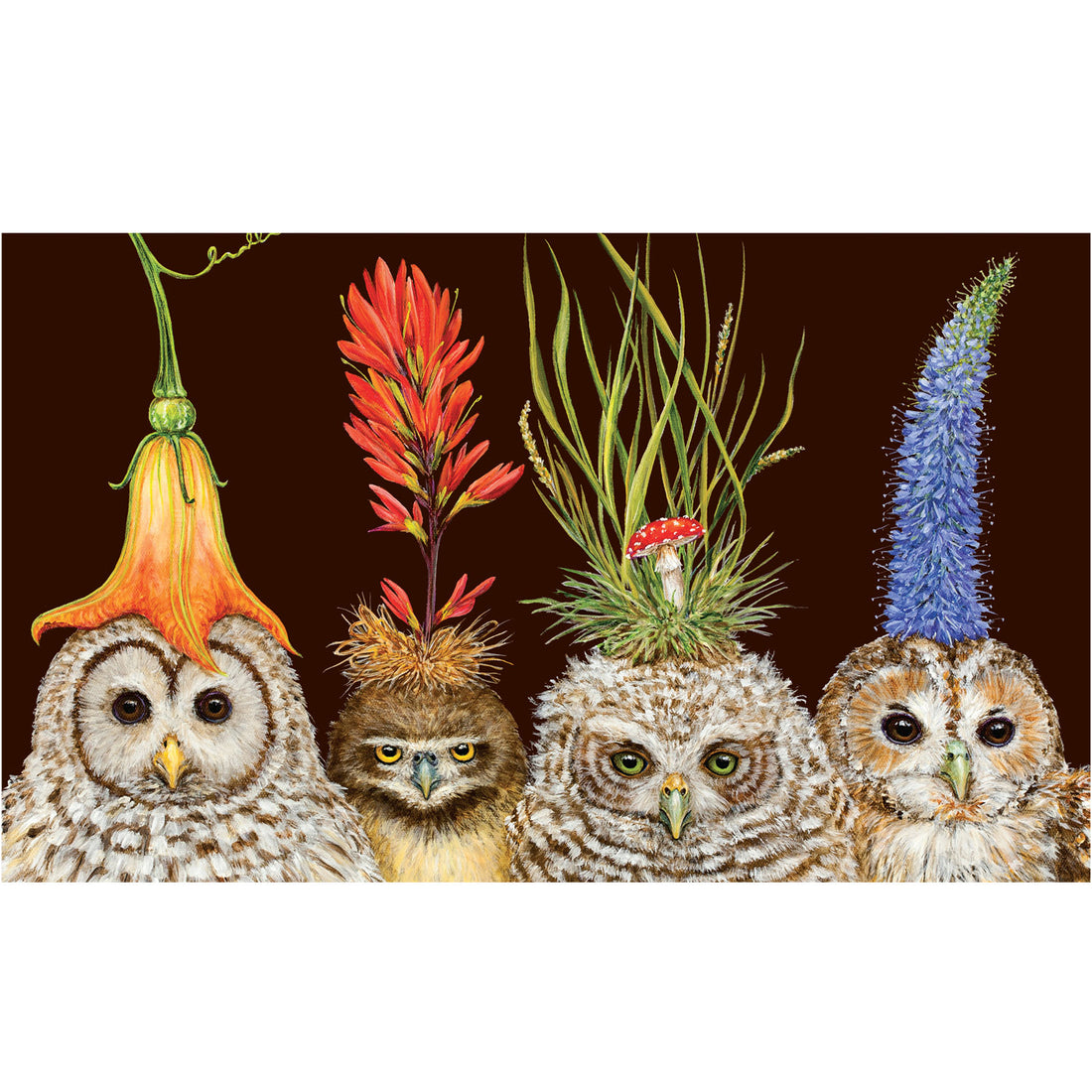 The illustrated faces of four baby owls, each with a floral or botanical headdress, on a black background.