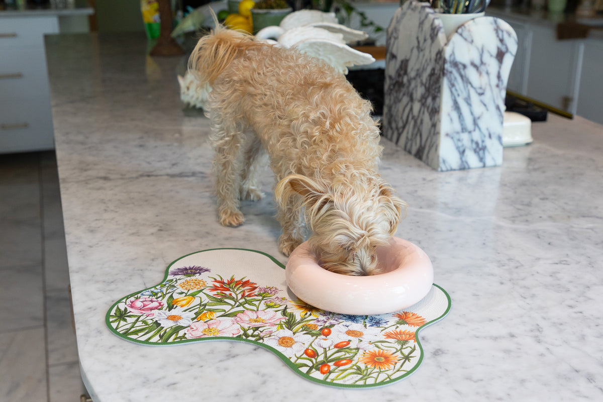 A fluffy white dog stands on a counter eating out of a pale pink ceramic bowl. 