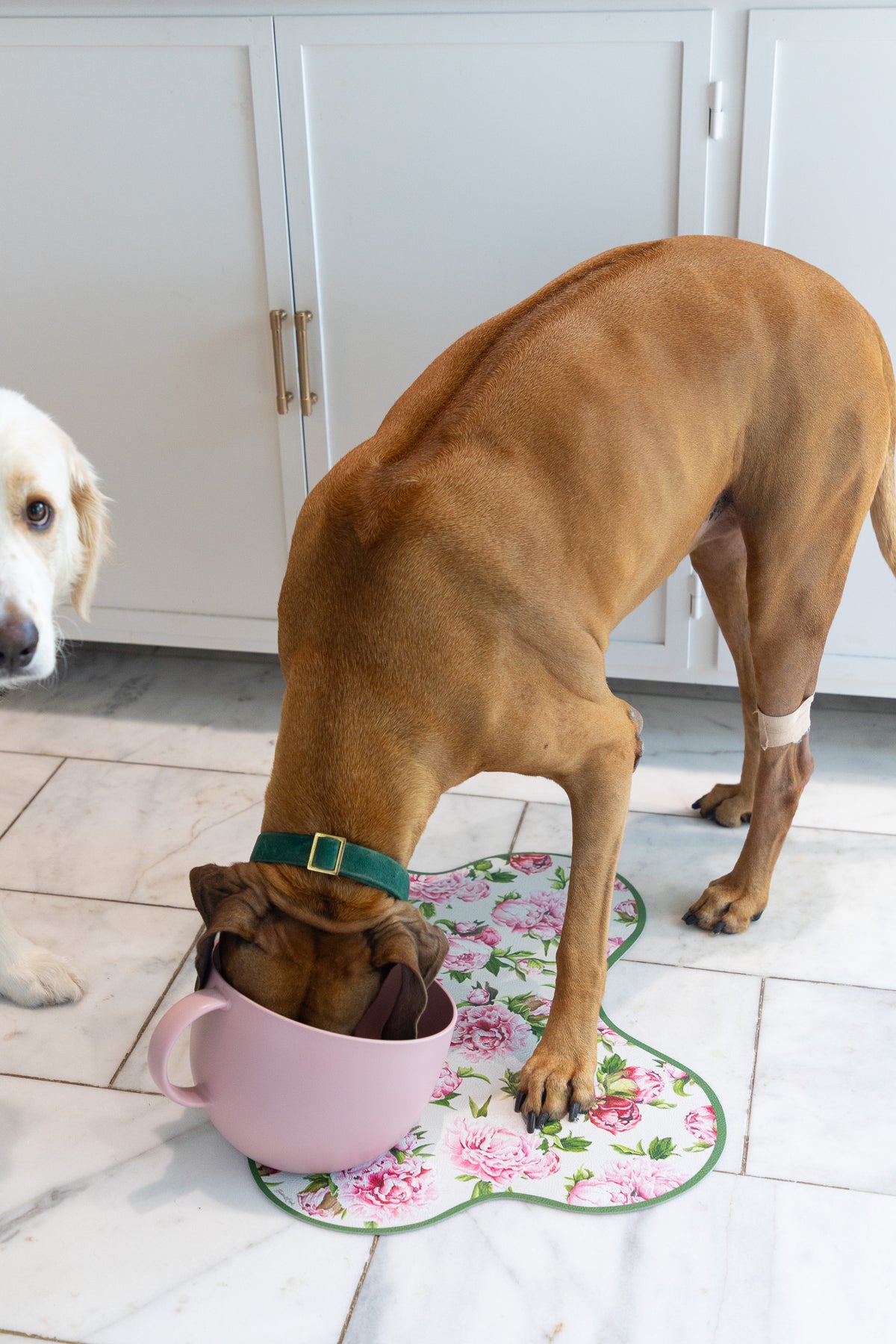 A brown dog eats from a pink mug shaped bowl on top of a mat printed with peonies. 