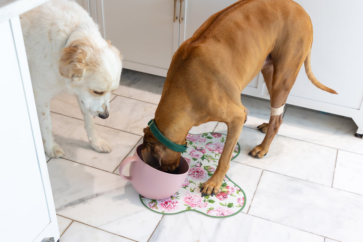 A brown dog wearing a green collar drinks from a pink bowl placed on a floral mat, while a white dog watches from the side in a kitchen setting.