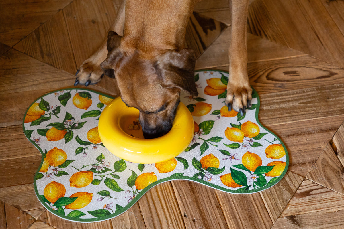 A brown dog drinking from a bright yellow ring-shaped bowl placed on a white ceramic mat with an orange and green lemon print, set on a wooden parquet floor.