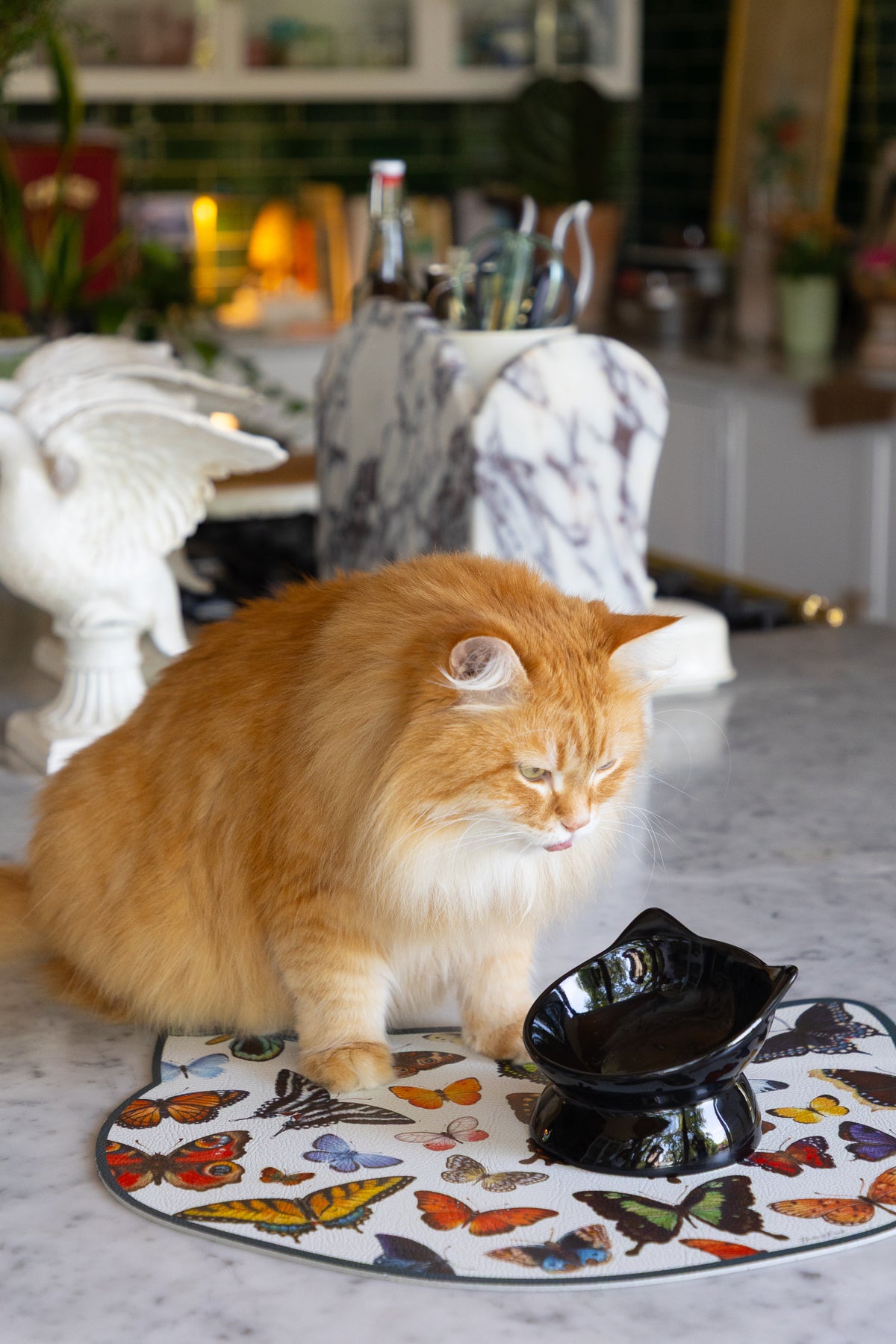 An orange cat eating out of a black cat shaped angled cat bowl. 