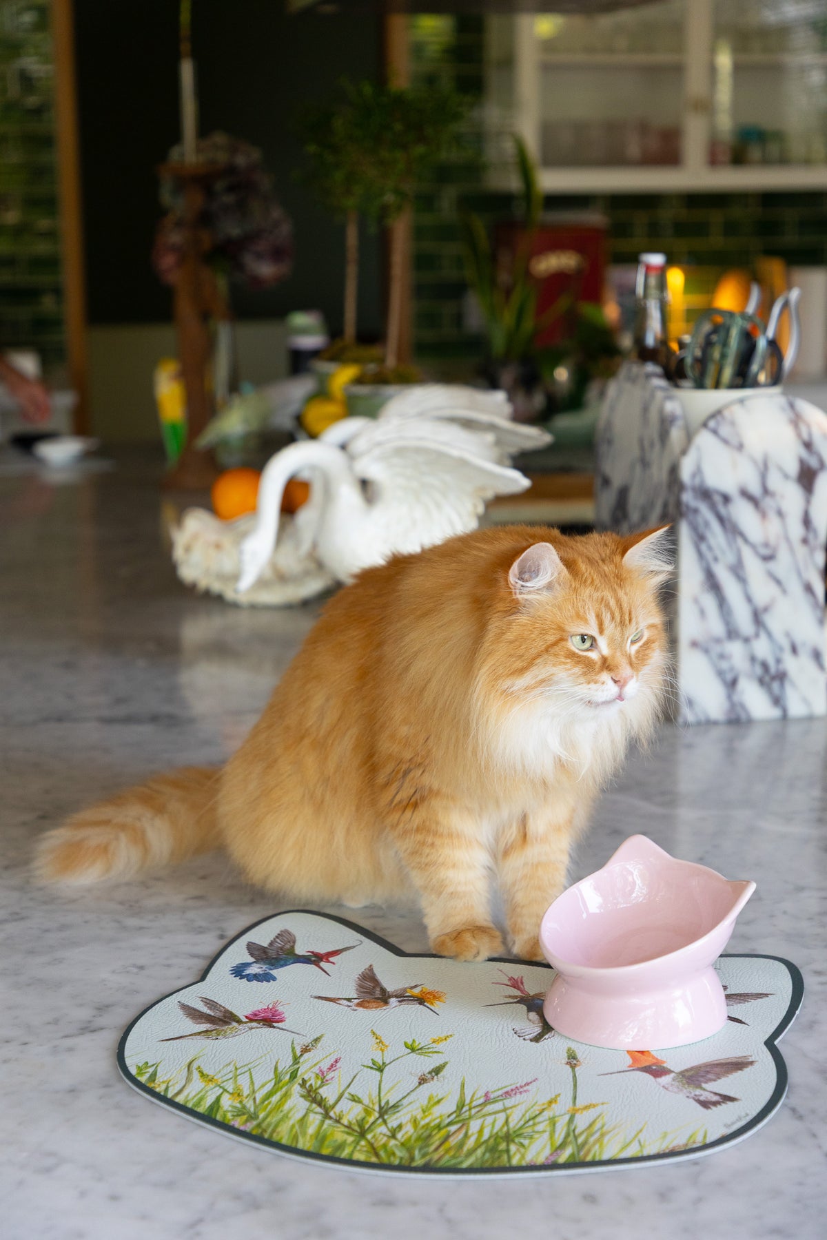 A fluffy orange cat sits on a marble kitchen counter next to a pink elevated bowl, with a decorative printed mat featuring birds and grass in front of it. The background shows a softly blurred kitchen interior with plants and decor.