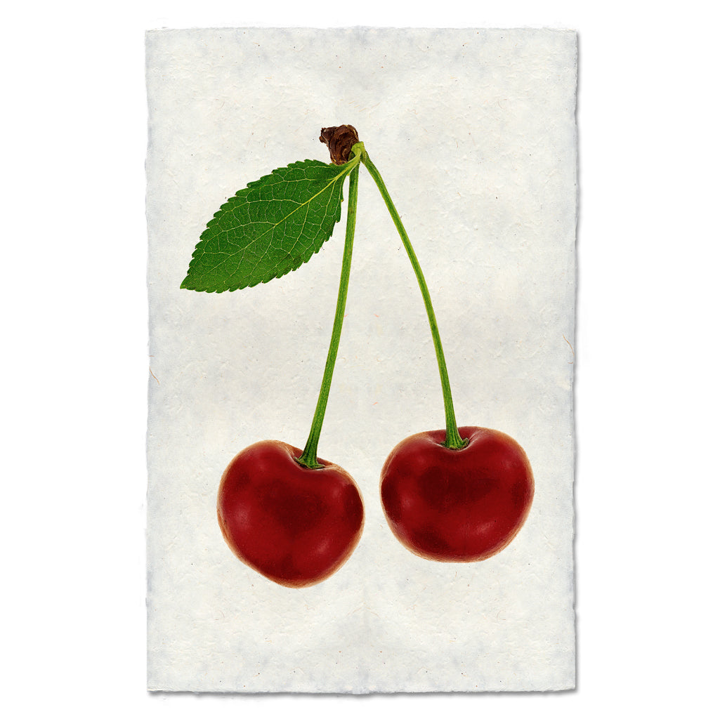Double Cherry Art Print