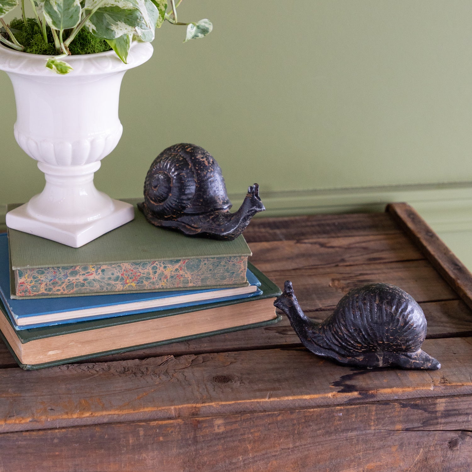 Two metal snail sculptures on a wooden surface with books and a plant in the background.