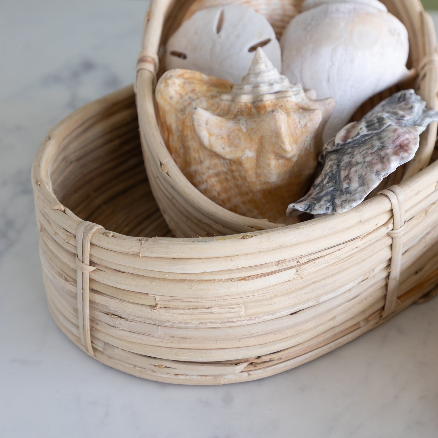 Woven basket with seashells on a light background