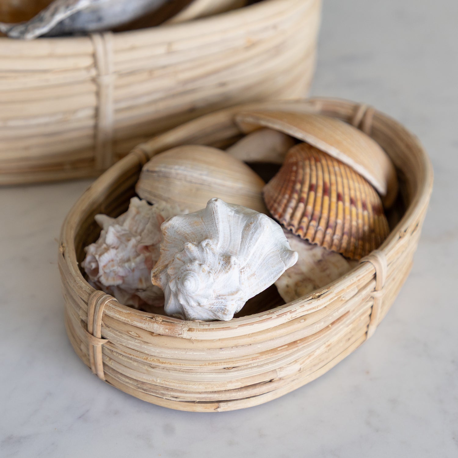Wicker basket with seashells on a light background