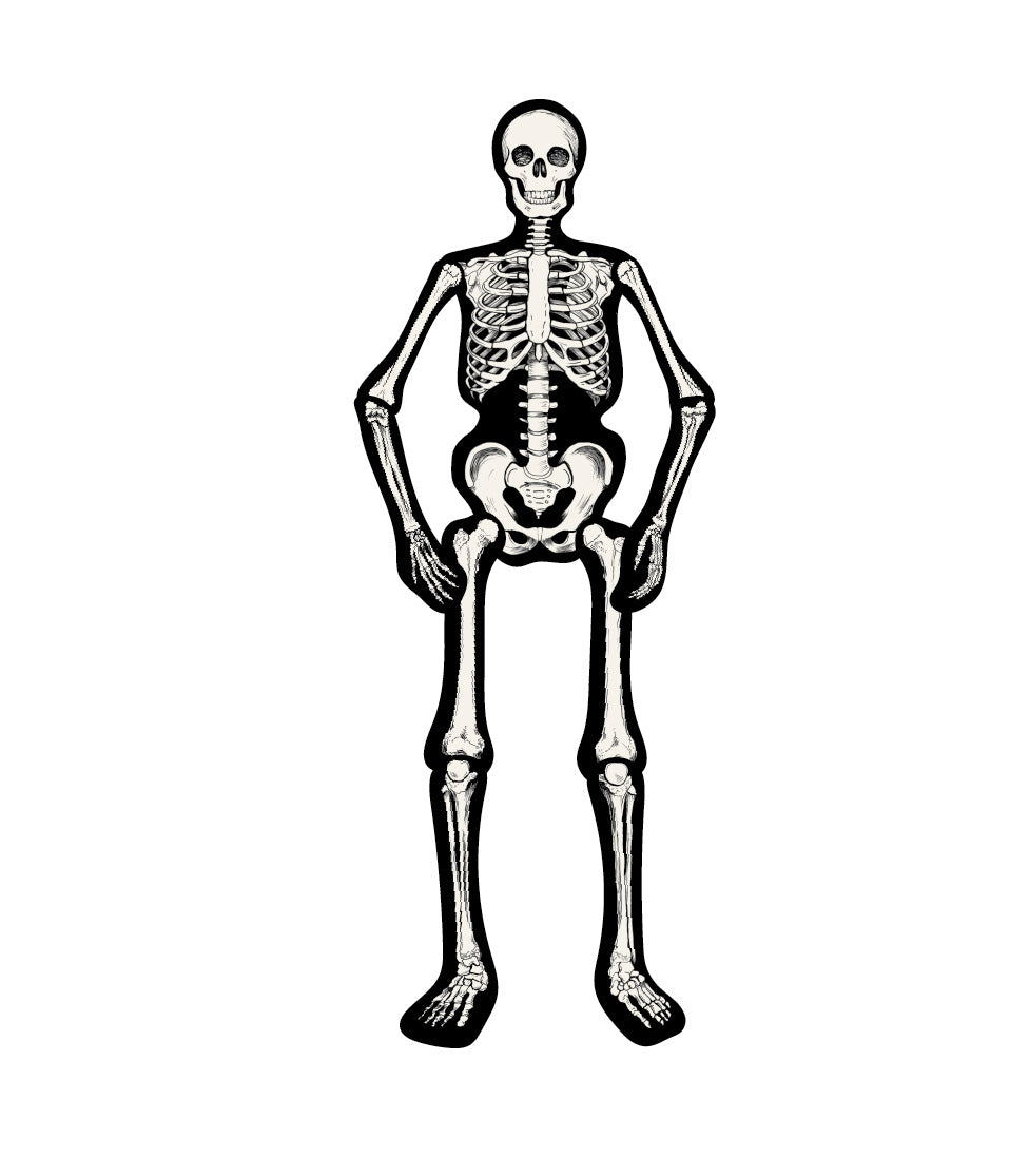 A paper skeleton made of nine die-cut pieces featuring white illustrated bones on a black background, attached together at the shoulder, elbow, hip and knee joints with brass brads.