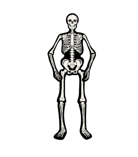 Articulated Skeleton Decorative Accent – Hester & Cook