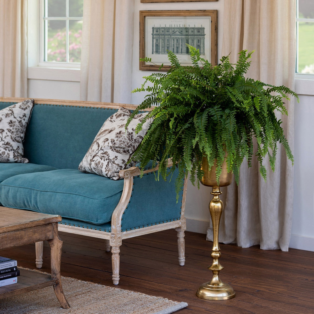 Teal sofa with patterned cushions in a living room setting with a plant and coffee table.