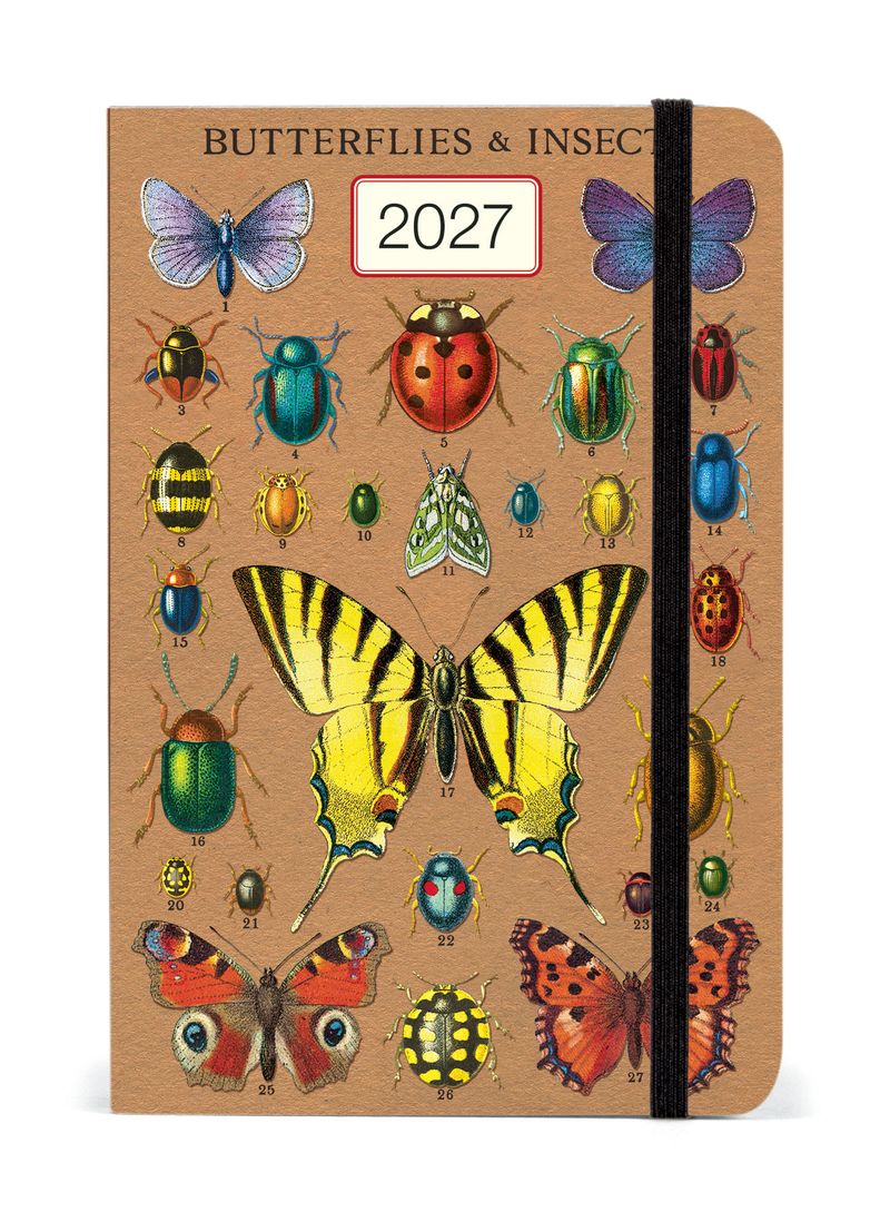 2027 calendar with butterfly and insect illustrations on a brown background