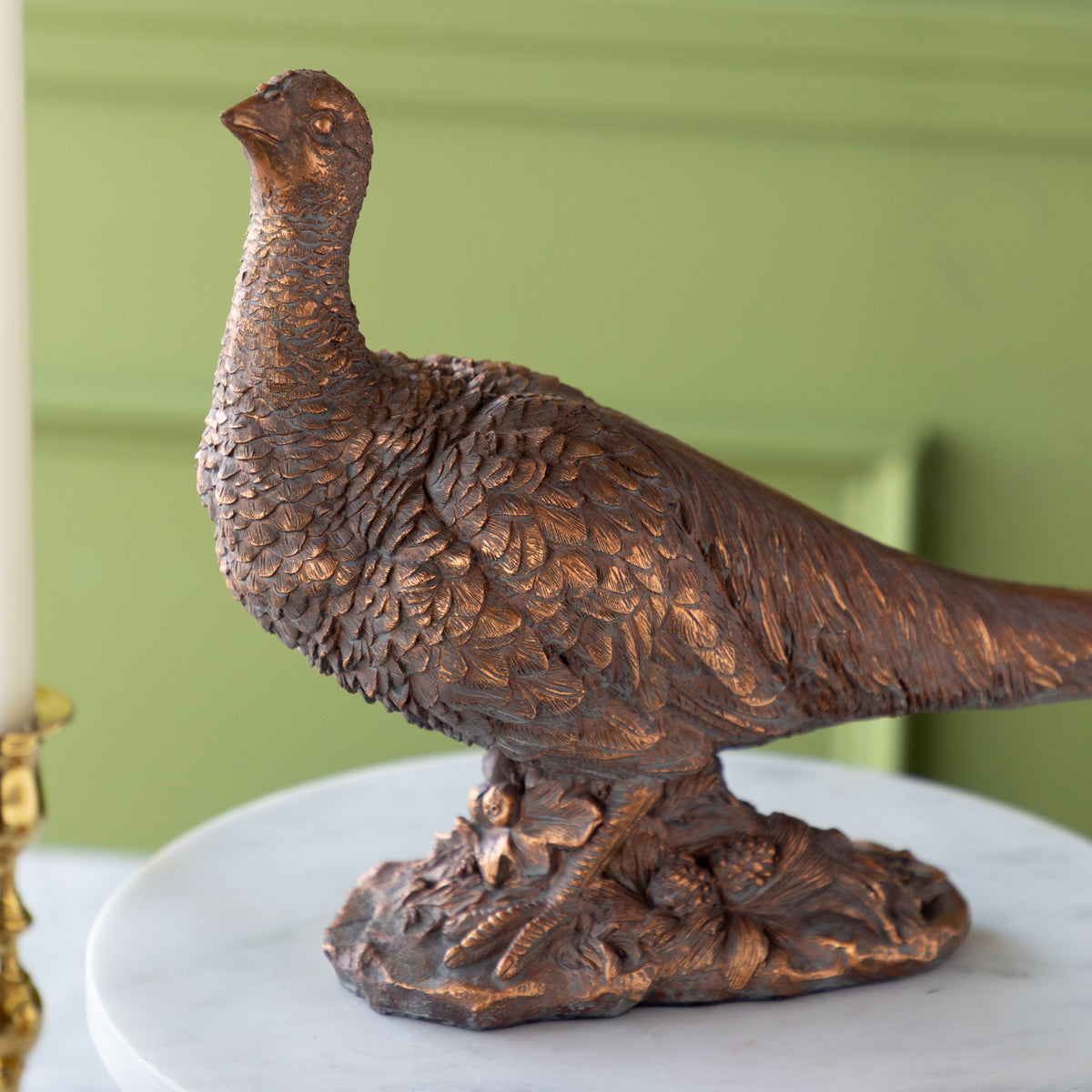 Bronze Pheasant