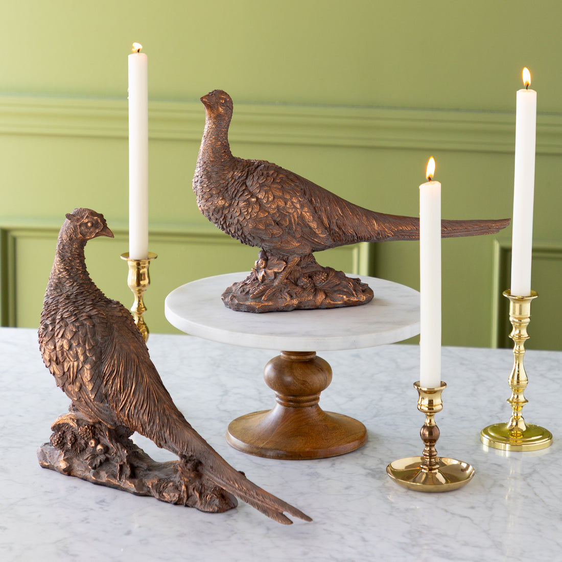 Bronze Pheasant