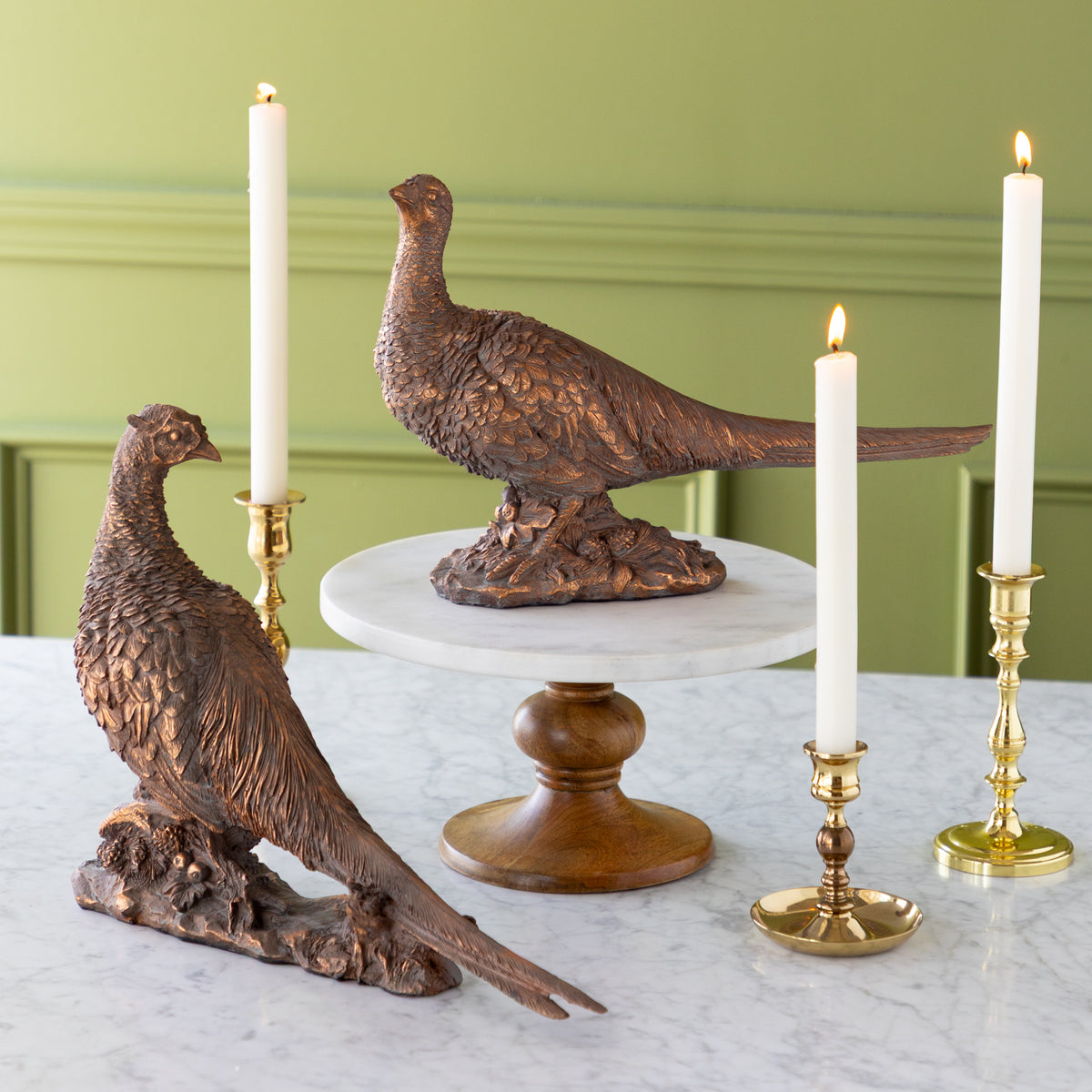 Bronze Pheasant