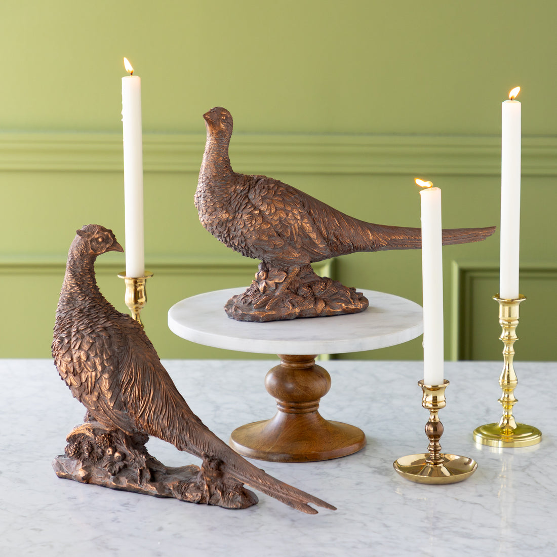 Bronze Pheasant