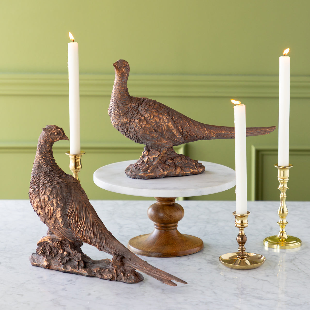 Bronze Pheasant